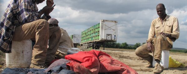 regolarizzazione braccianti medu corona virus