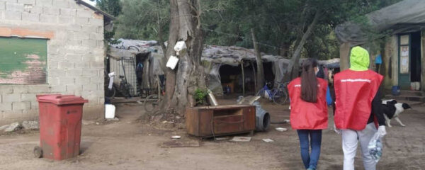 terragiusta medu 2020